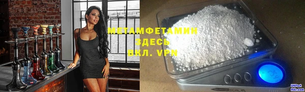индика Инта