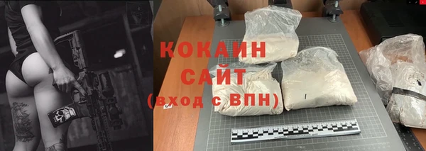 индика Инта