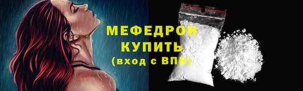 индика Инта