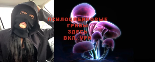 индика Инта
