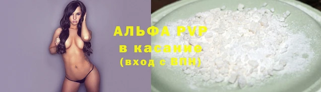 индика Инта