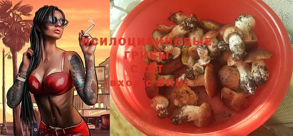 2c-b Инсар