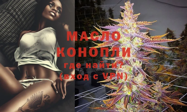 2c-b Инсар