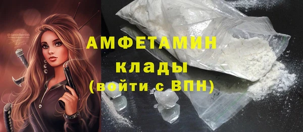 2c-b Инсар