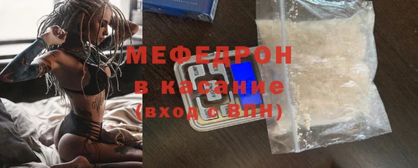 индика Инта