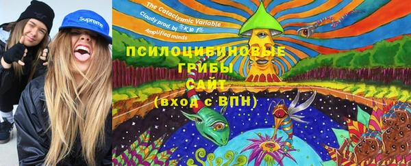 индика Инта