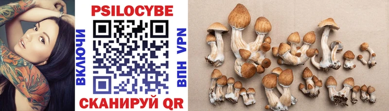 Галлюциногенные грибы MAGIC MUSHROOMS  Долгопрудный 